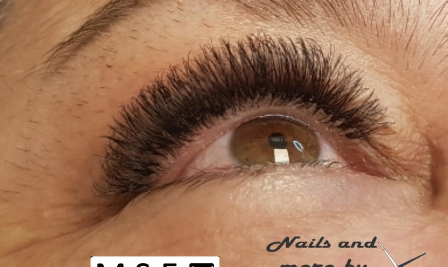 Easy Fan Lashes Wimpern
