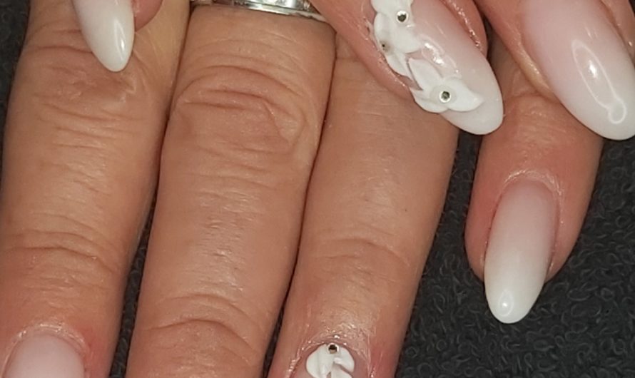 Cover Rose