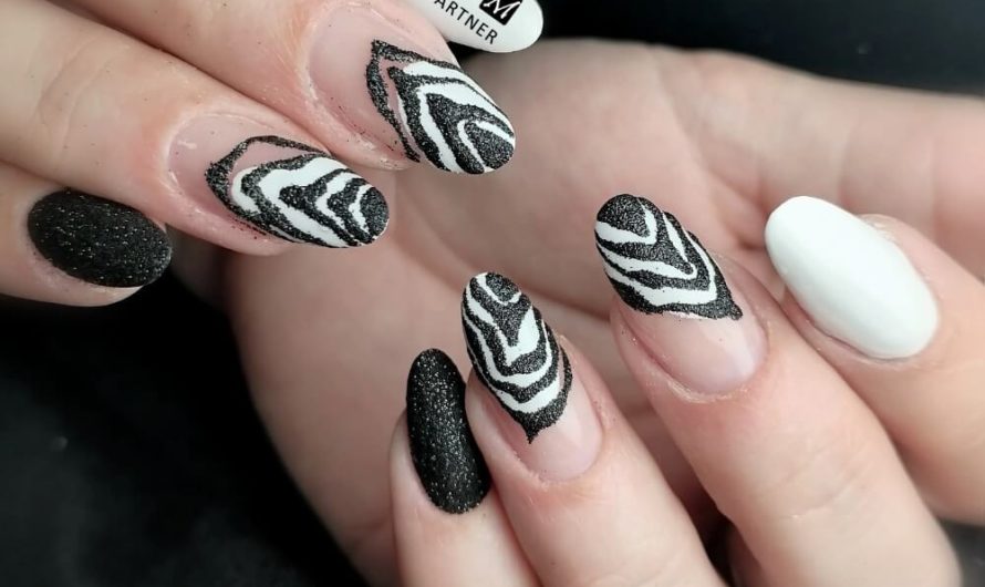 Wild Zebra