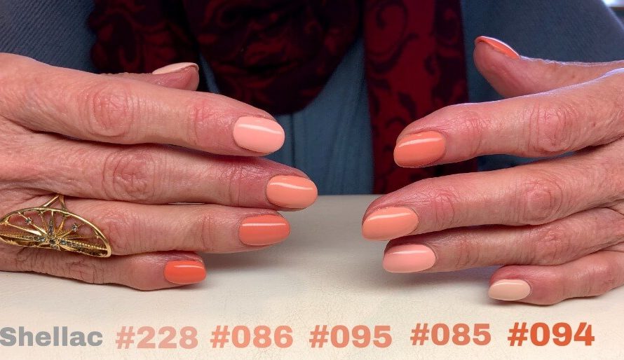 Shellac #228 #086 #095 #085 #094