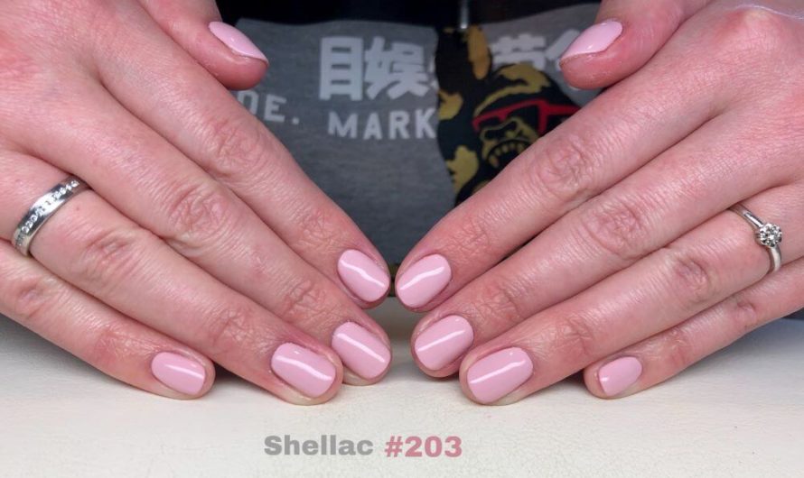 SIS Shellac #203