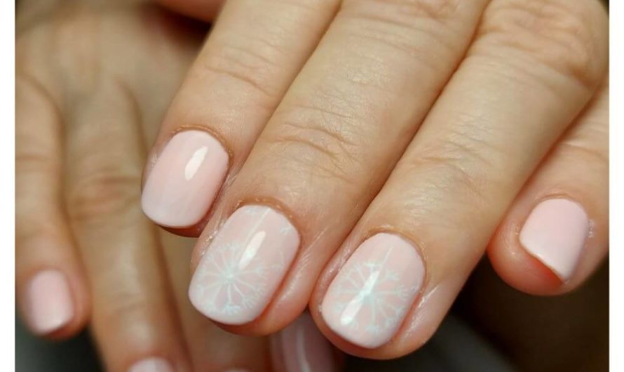 Shellac #130 – Rosé mit Pusteblume