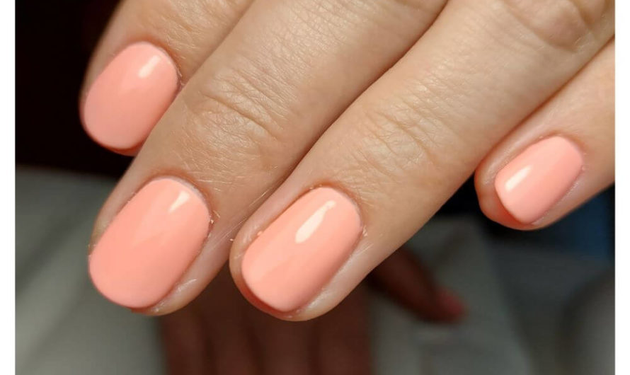 SIS Shellac #008