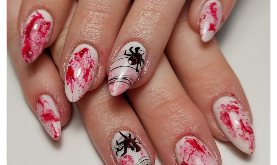 Halloween Spider