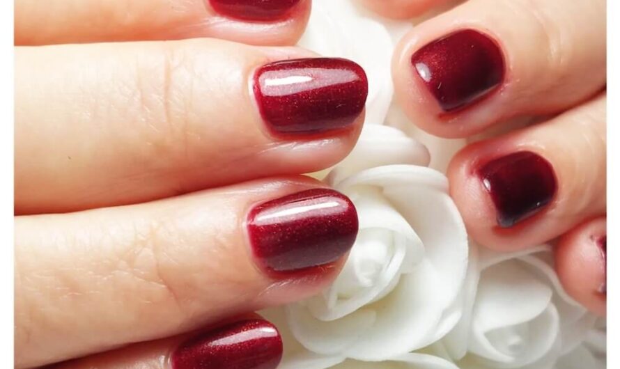 SIS Shellac 050