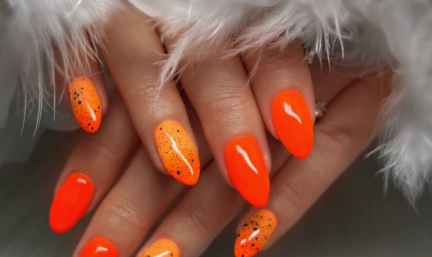 Color Gel 565 und Shellac 172
