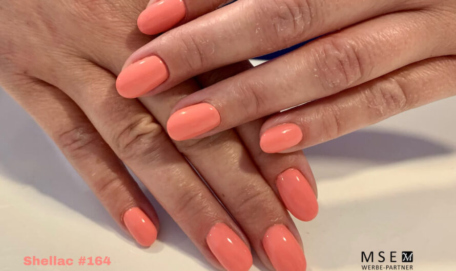 Shellac 164