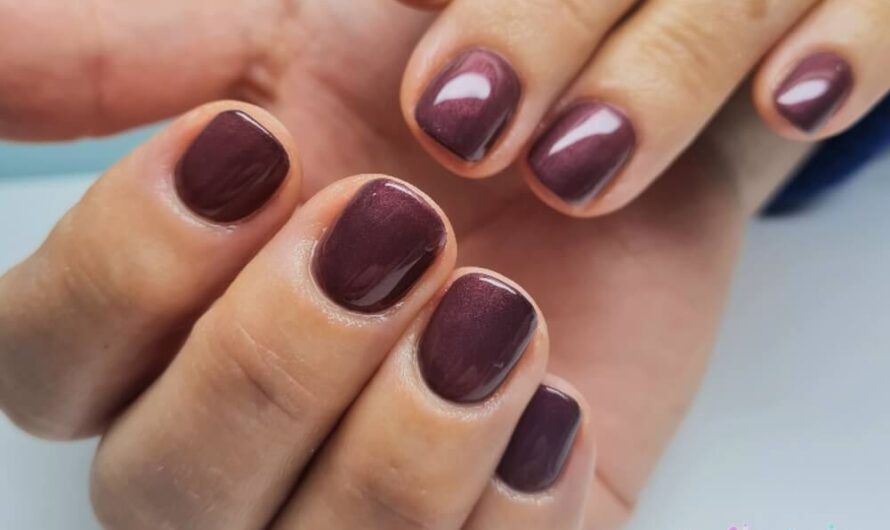 Color Gel 204