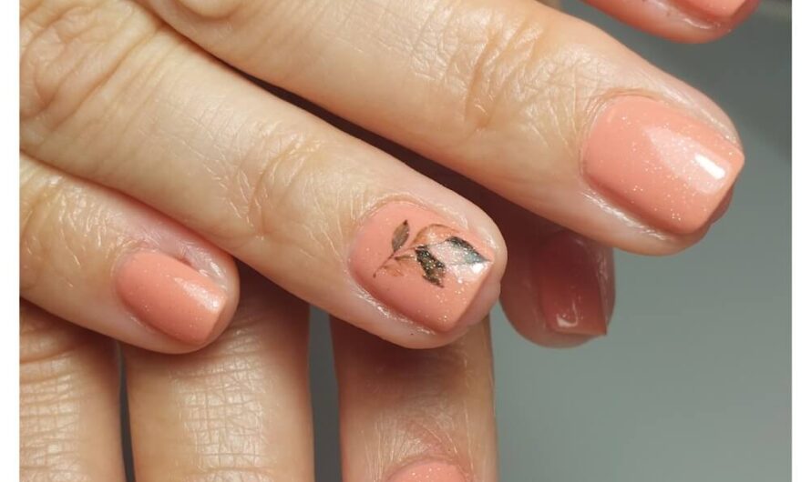 SIS Shellac 091